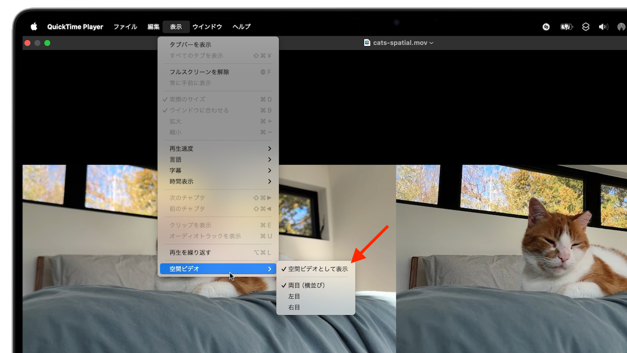 macOS 14 4 Sonoma QuickTime Player support Spatial Video