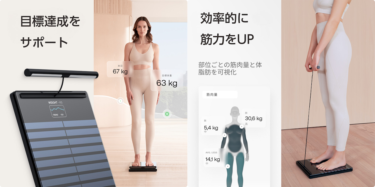 Withings Body Segment