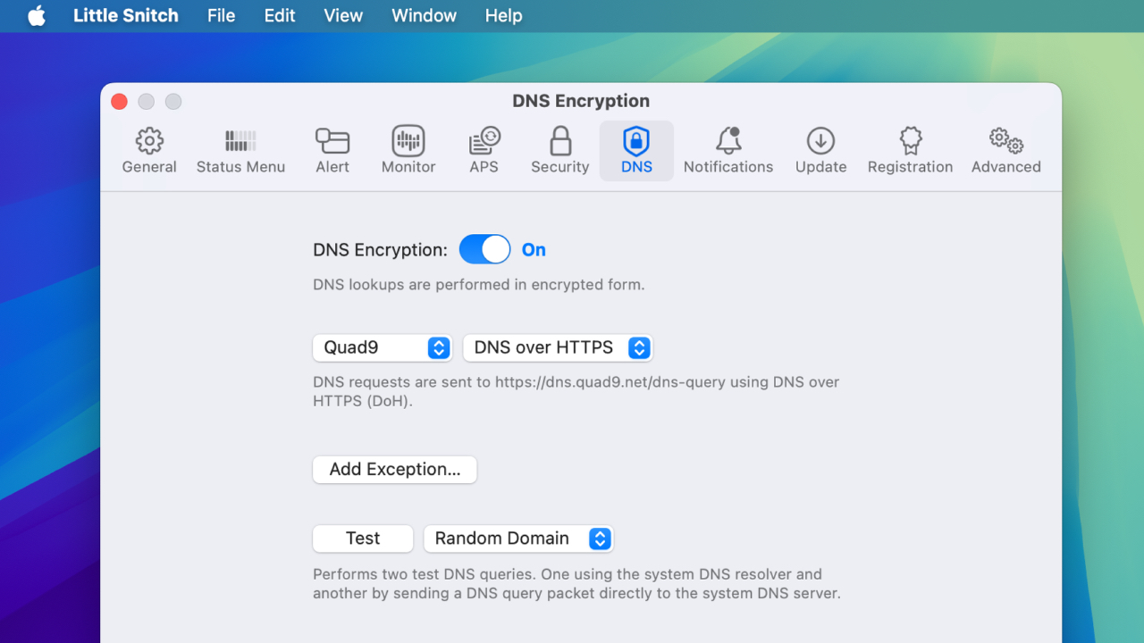 macOS 15 Sequoia DNS Encryption bypass