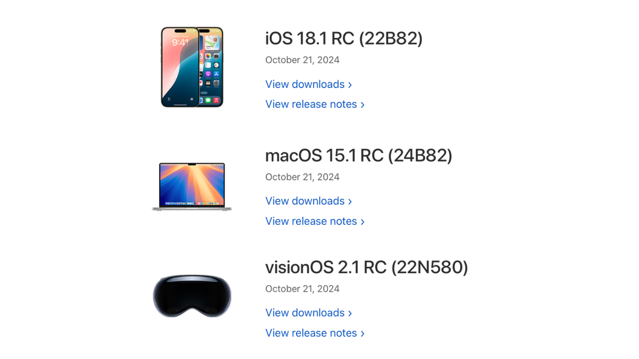 macOS 15.1 RC (24B82)