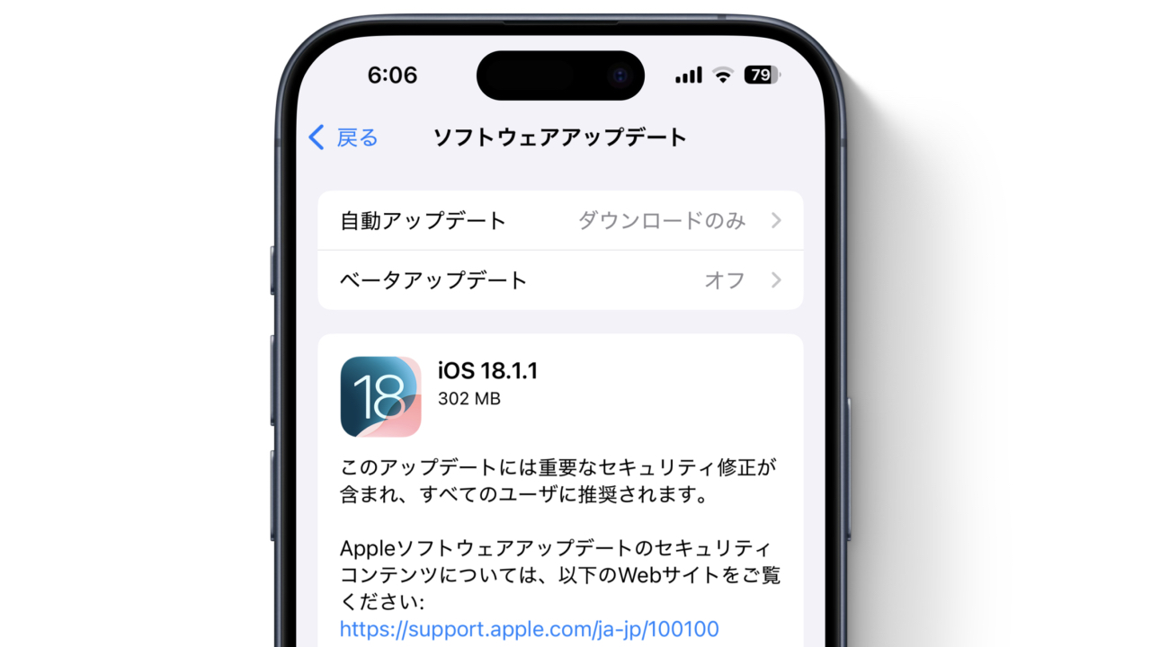 iOS 18.1.1/iPadOS 18.1.1 (22B91)