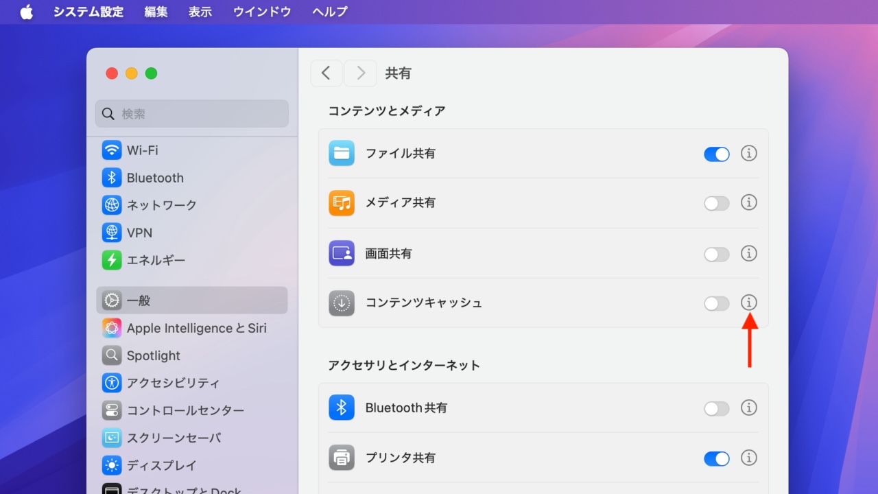 macOS 15 Sequoiaのシステム設定アプリのコンテンツキャッシュ機能設定