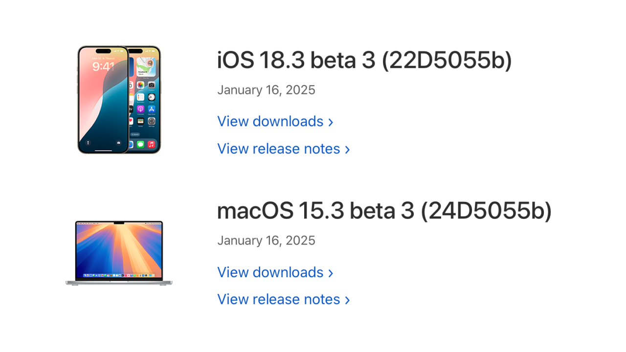 macOS 15.3 beta 3 (24D5055b)やiOS 18.3 beta 3 (22D5055b)