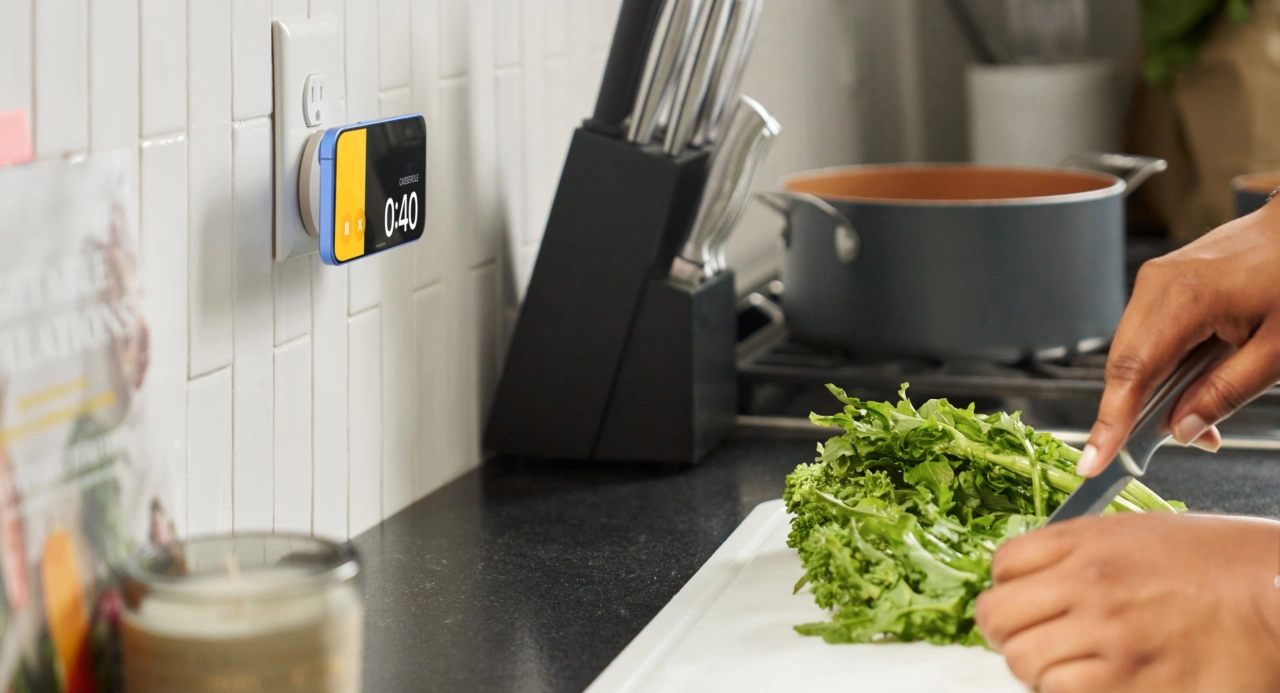 Twelve South PowerBug