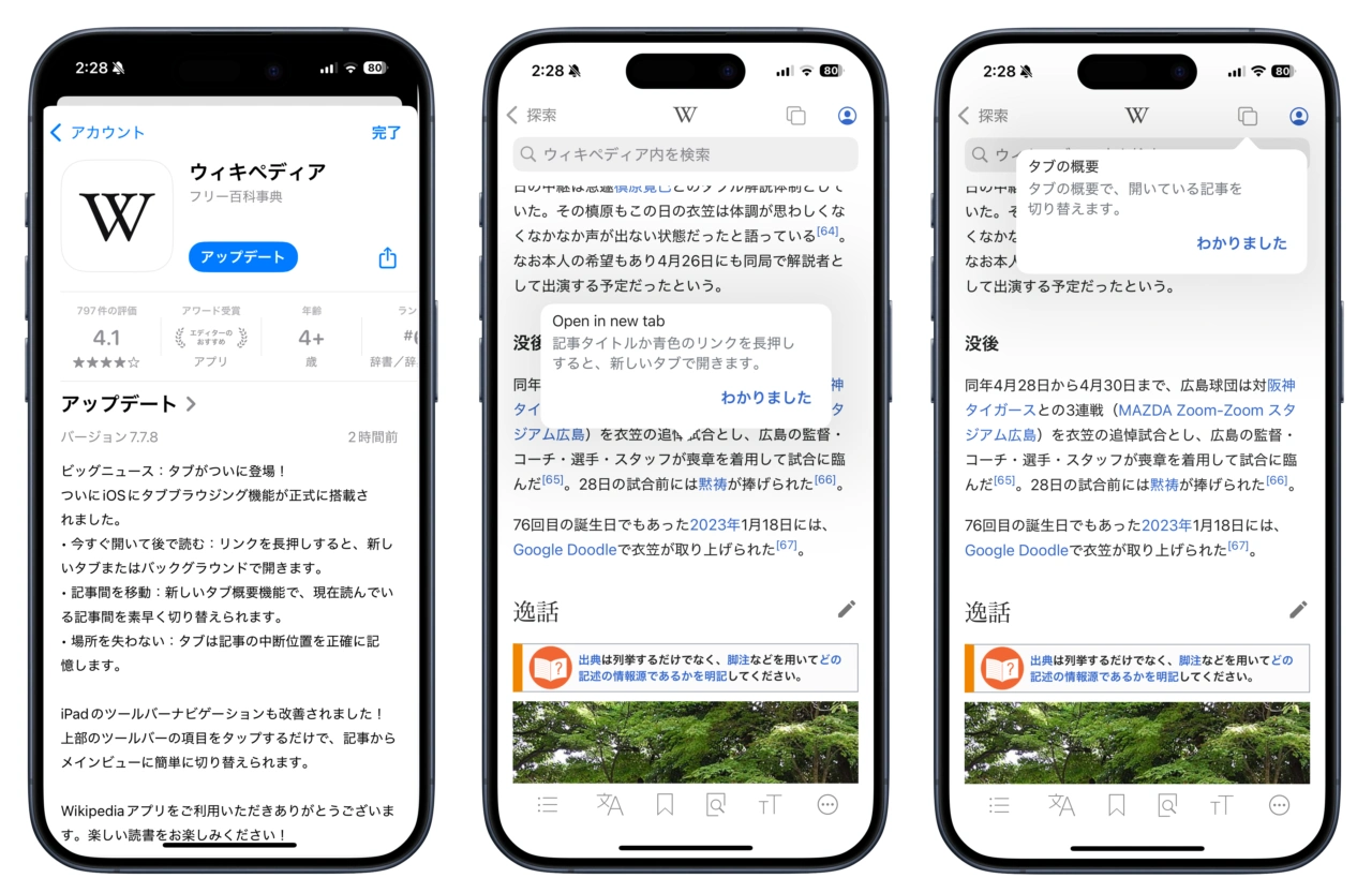Wikipedia for iPhone