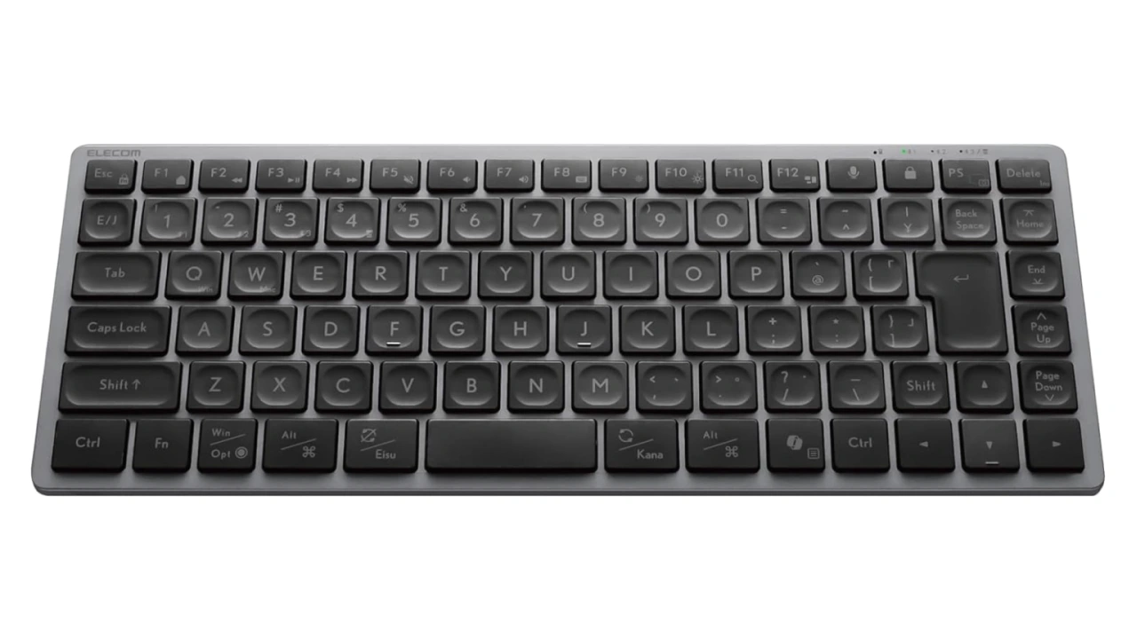 Elecom Precisionist mini