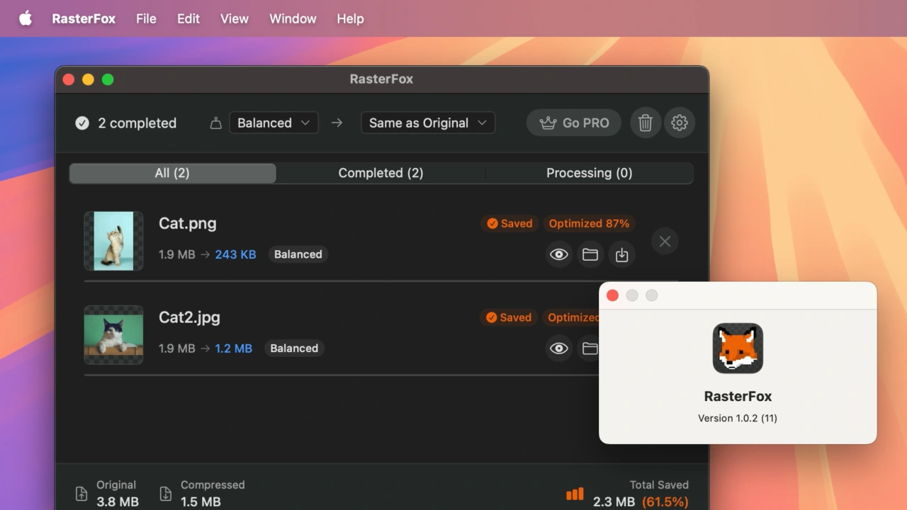 RasterFox - Image Optimizer