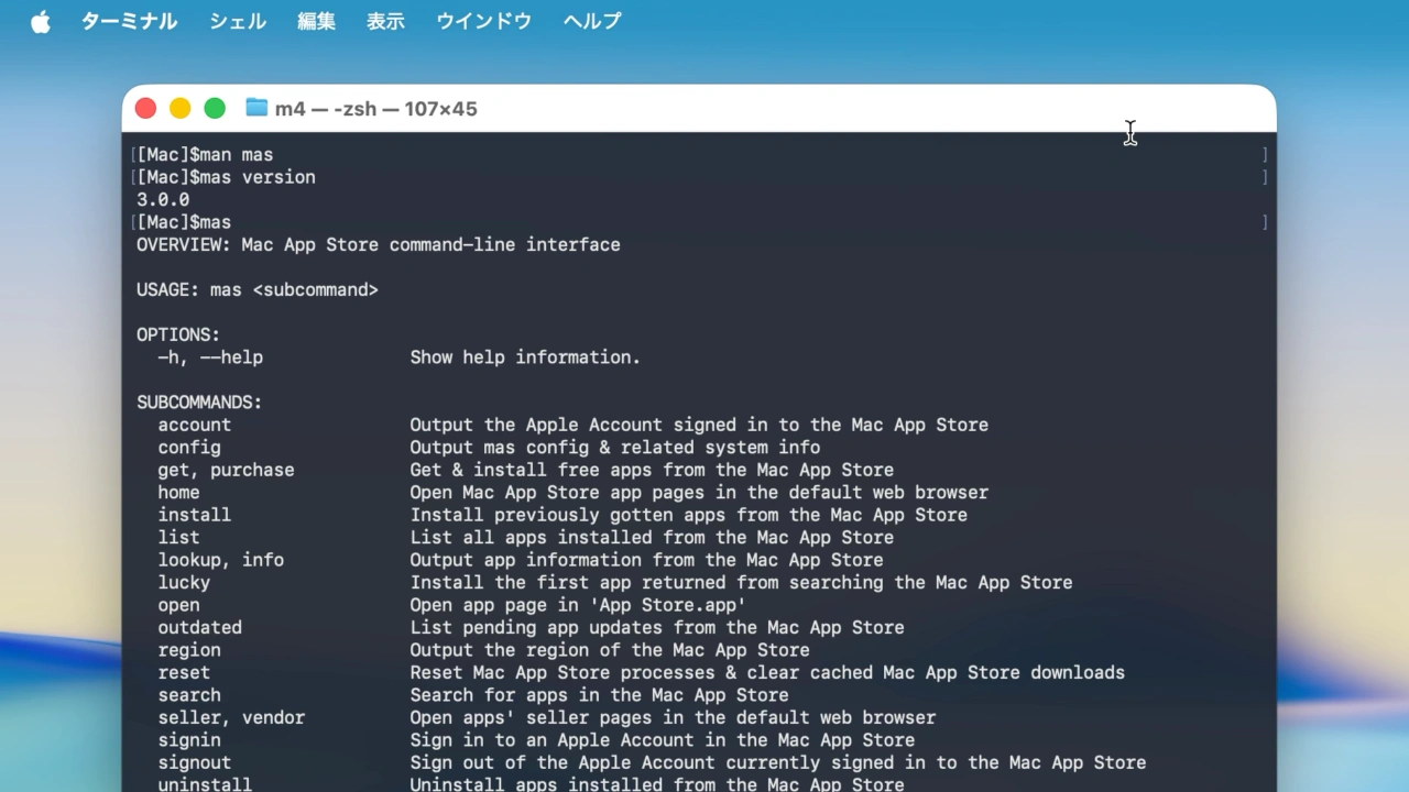 Mac App Store command-line interface