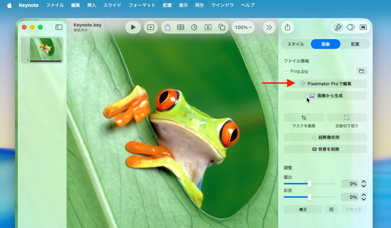 Photomator Pro