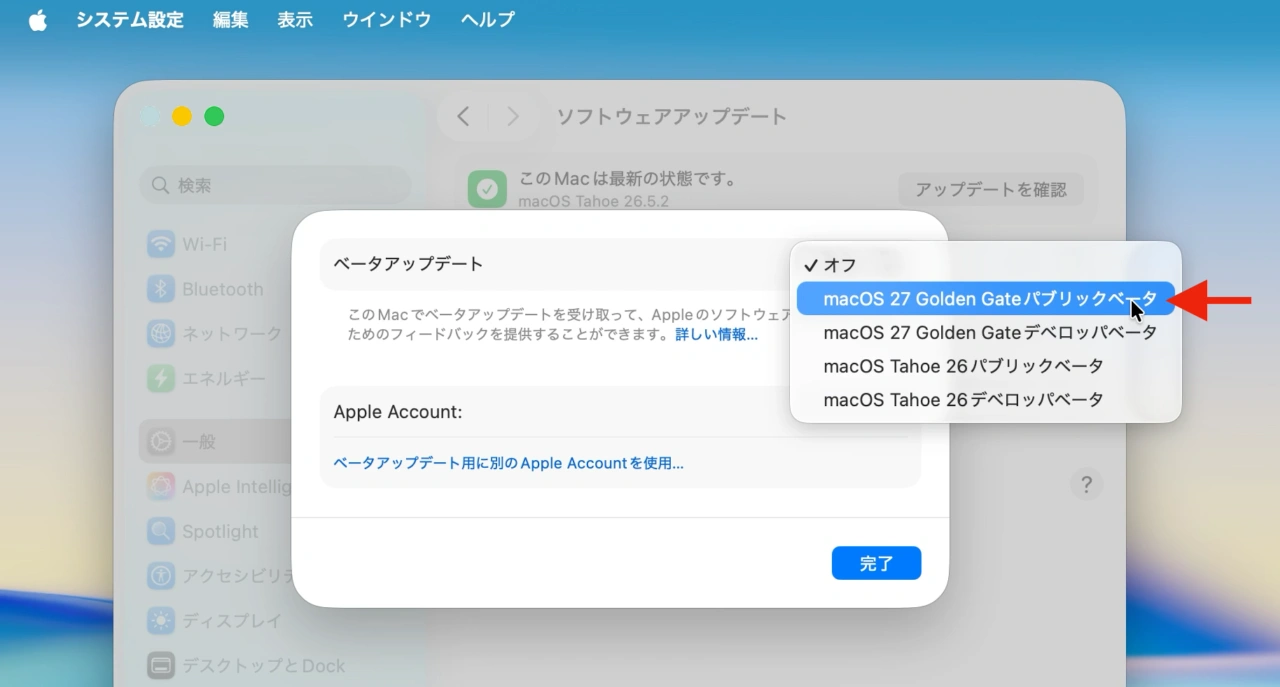 Apple Beta Software Program
