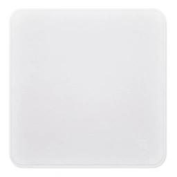 Apple ポリッシングクロス (2021)