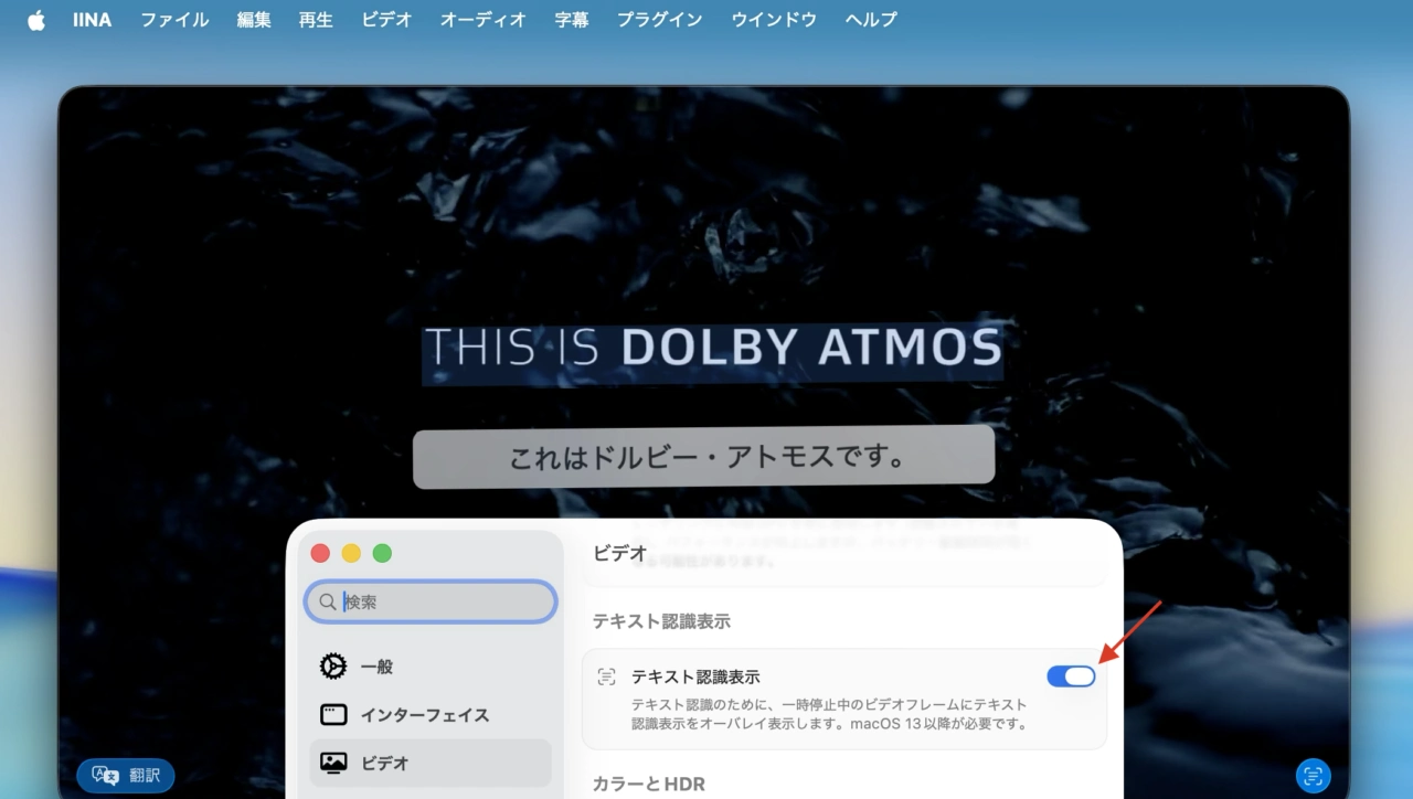 IINA for Mac v1.5.0のテキスト認識表示