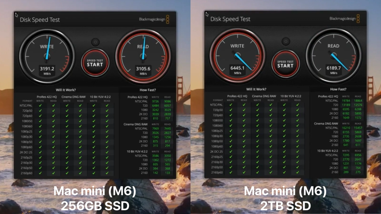 Mac mini (M6)のNAND Swap