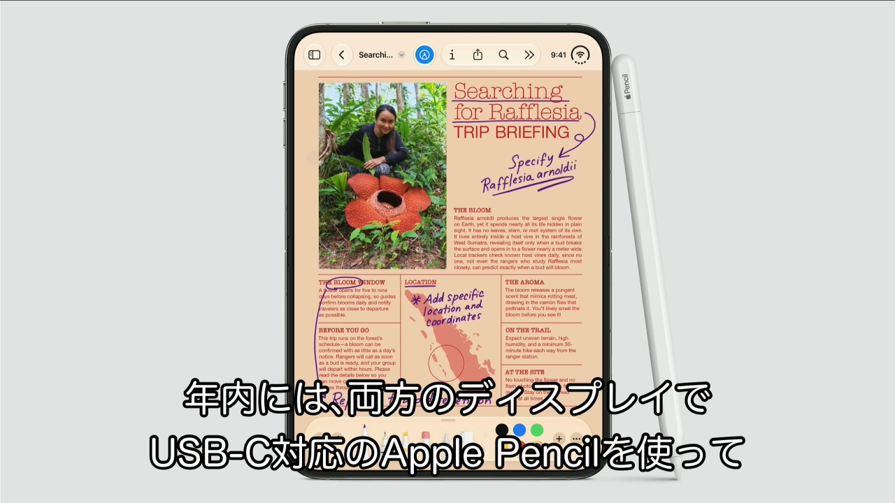 iPhone Duo
