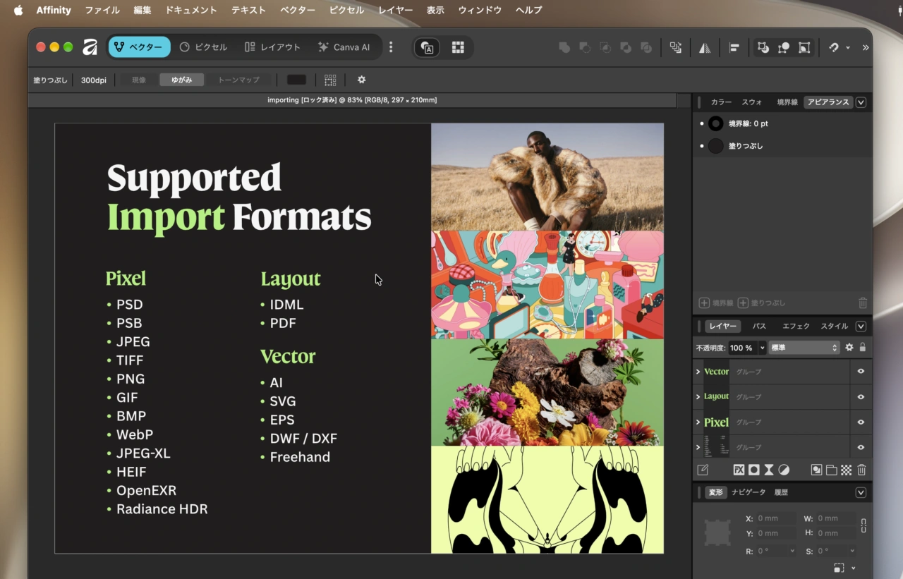 Affinity by Canva
