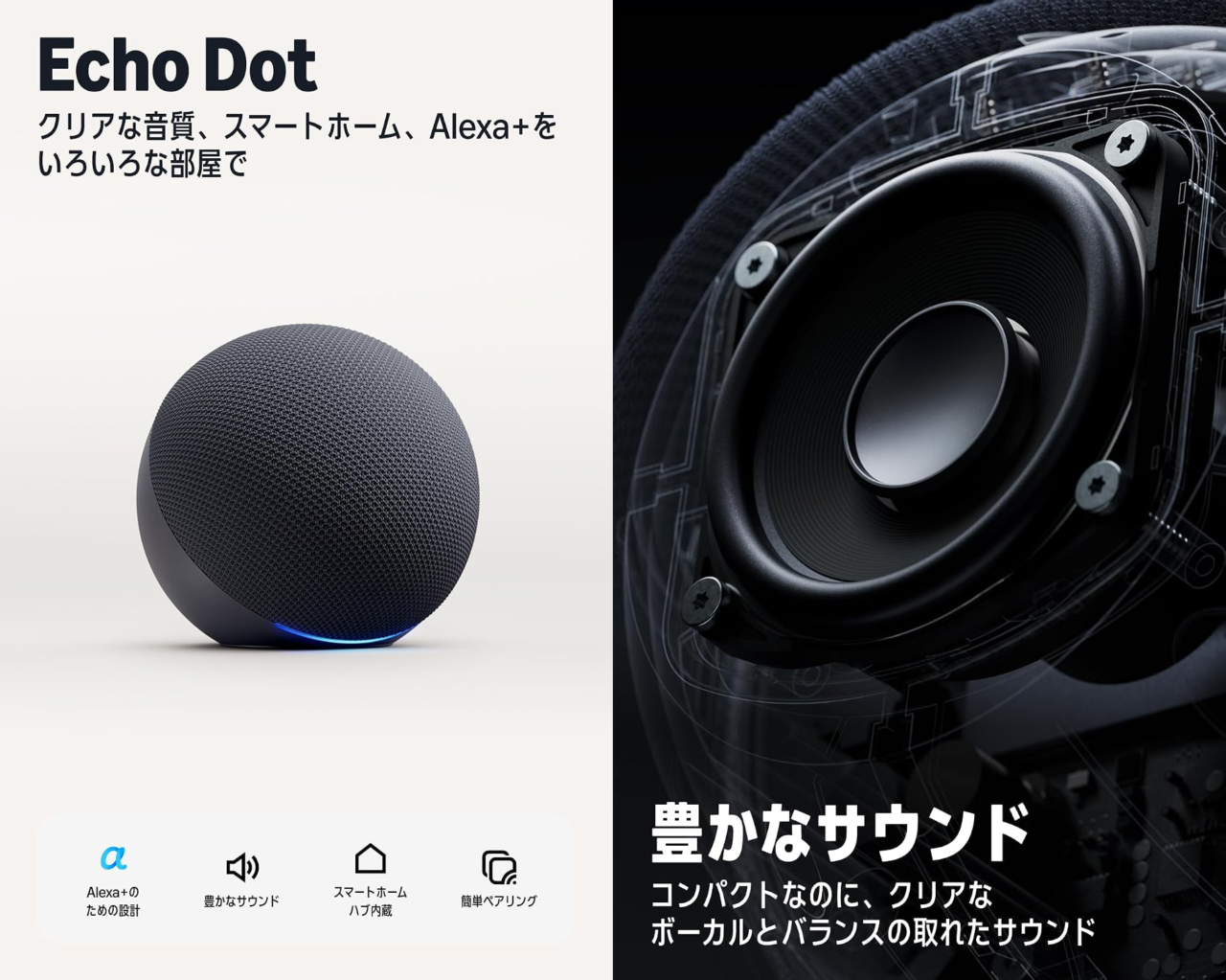 Echo Dot (第6世代)