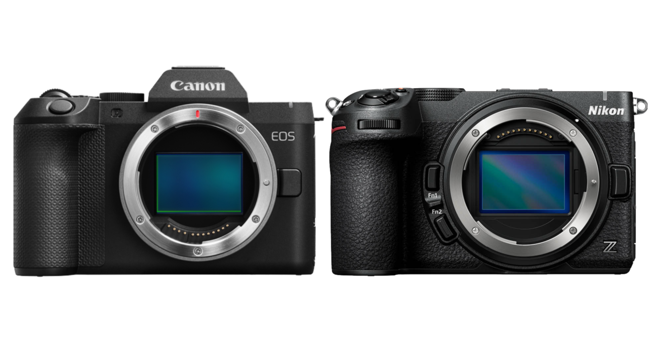 EOS R8 Mark IIとNikon Z5IIC