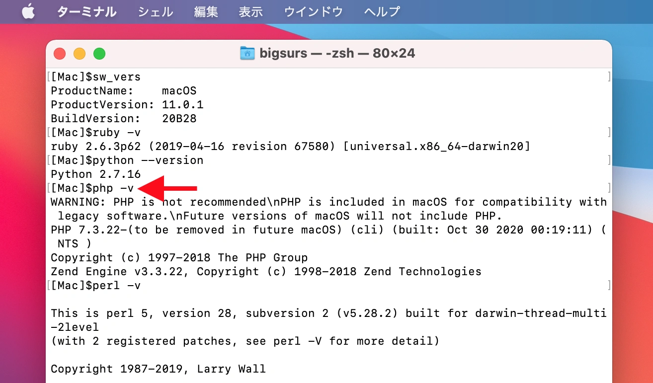 macOS 11.0.1 Big Surに同梱されているランタイム